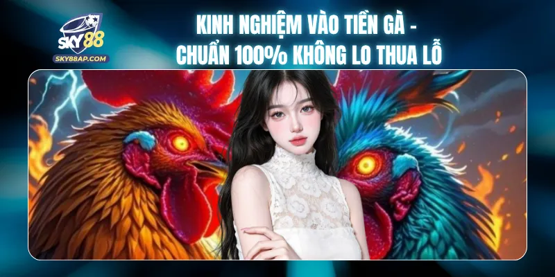 Kinh Nghiệm Vào Tiền Gà - Chuẩn 100% Không Lo Thua Lỗ